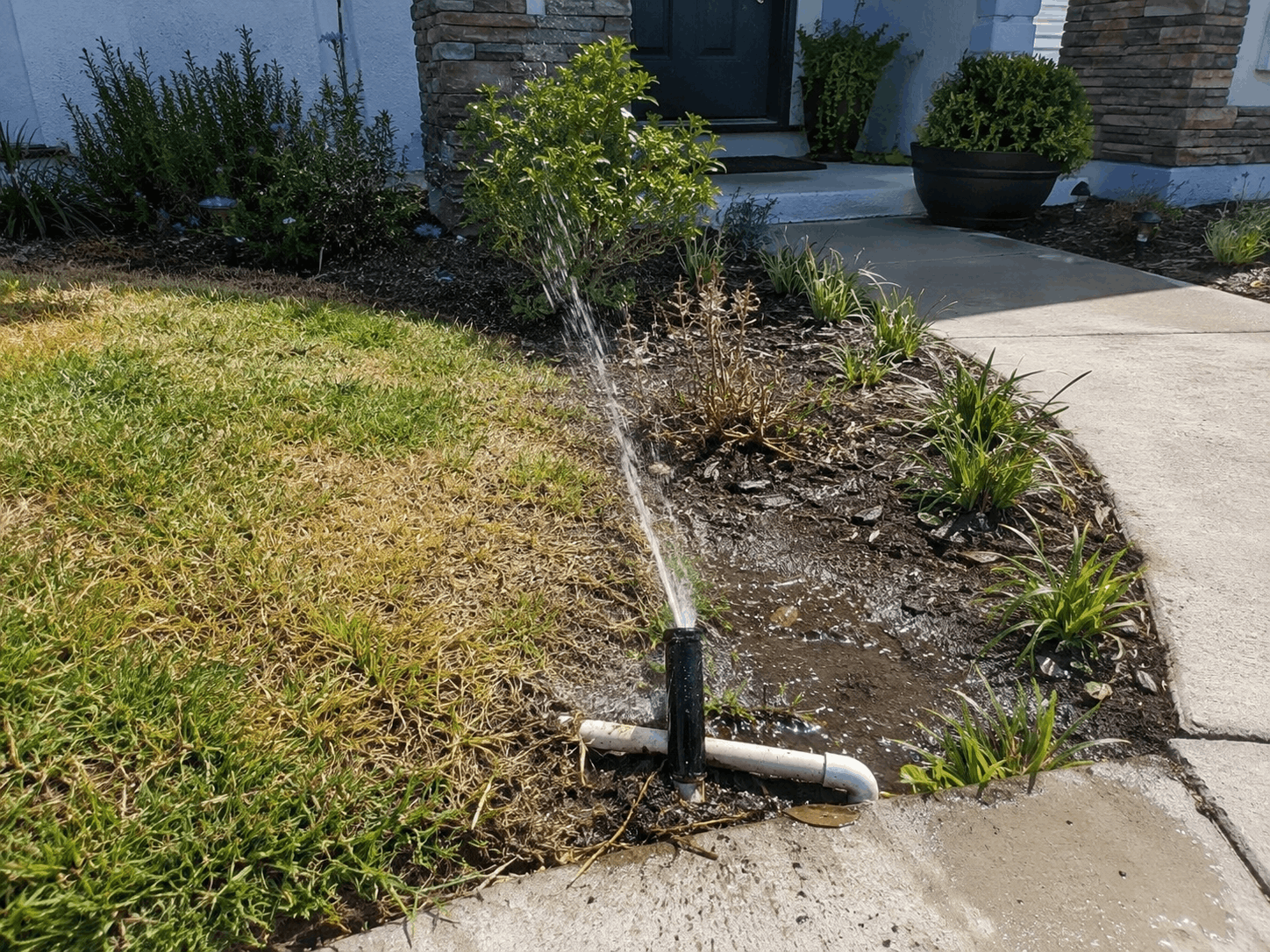 Before irrigation repair example